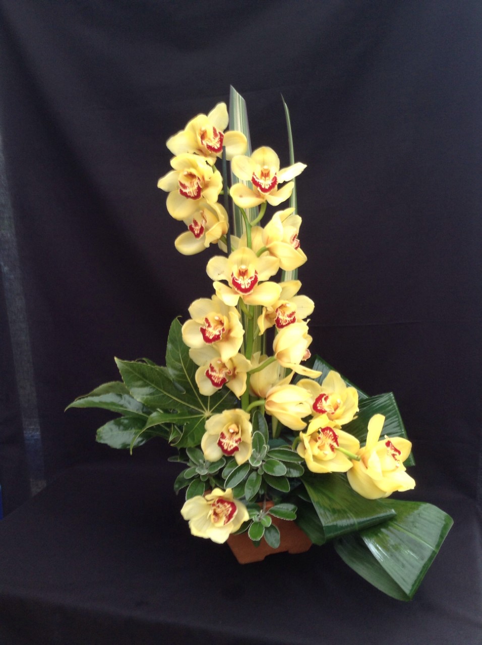 Class 3 Simple Beauty- Rosemary Abrams - Dorchester Floral Group
