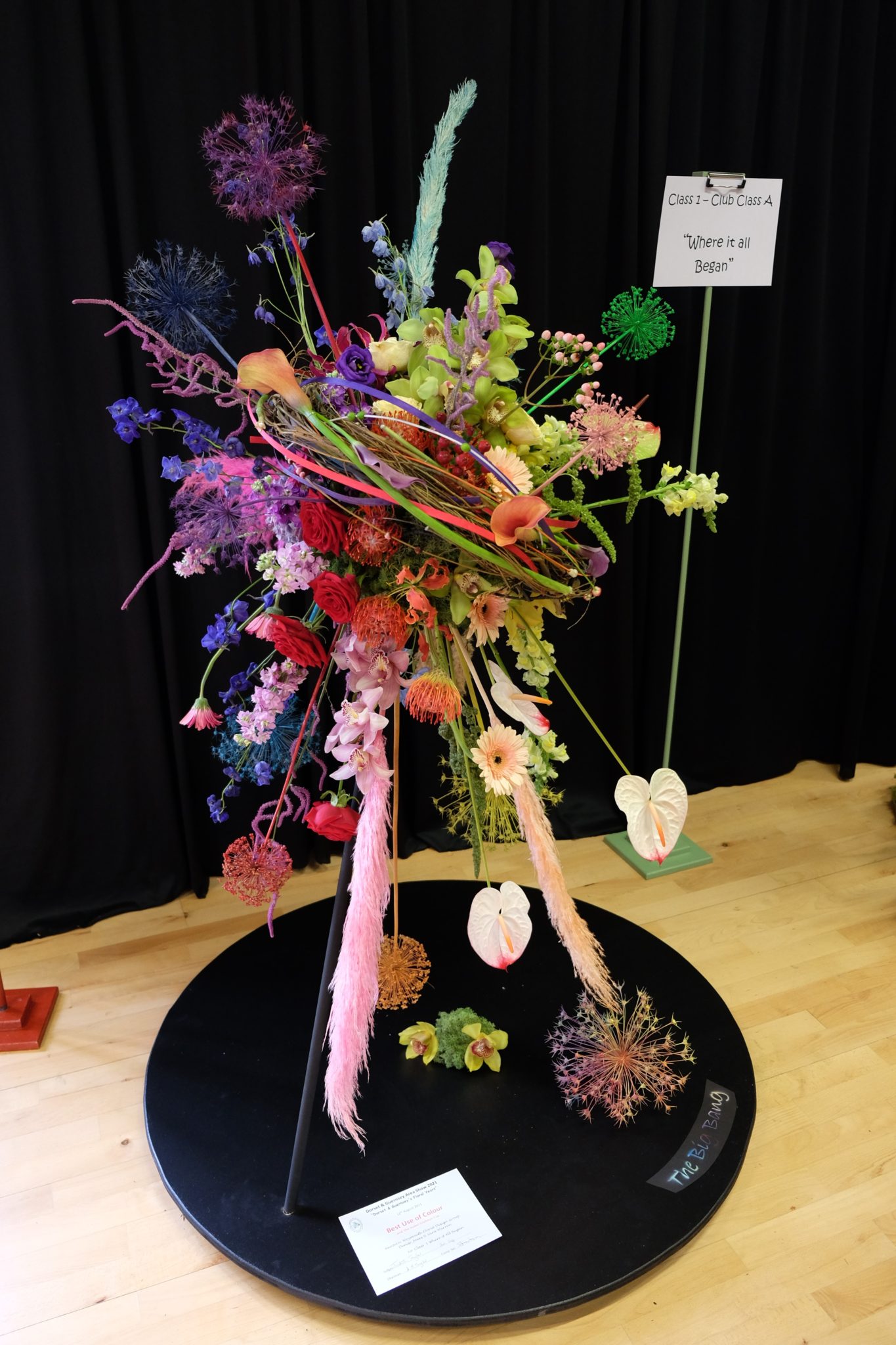 Best Use of Colour and 2nd Prize
Class 1 Where it All Began
Weymouth FDG
Denise Jones & Sara Warren